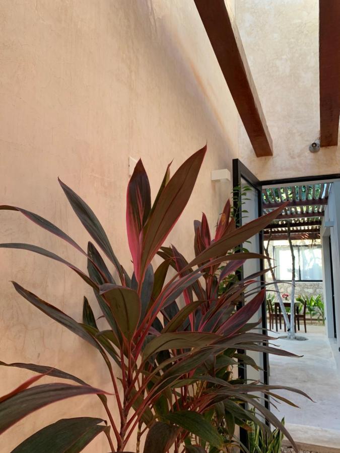 Piña Coloradas Ecolodge Yuluc Exterior foto